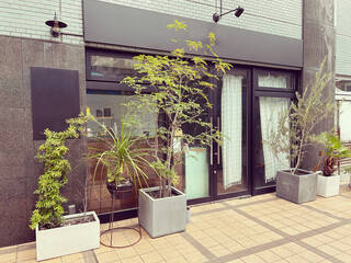 外に観葉植物を置いているショップの外観