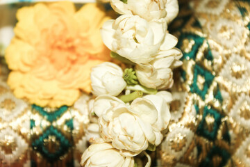 Jasmine  and flowers background