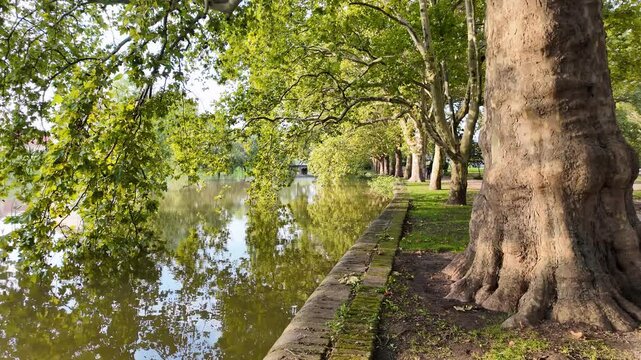 Flooded park next to the river R&aacute;ba in Győr Hungary