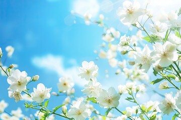 Obraz premium nature trees and flowers
