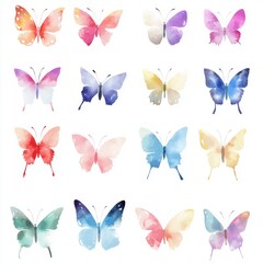 Watercolor Butterfly Set.