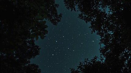 A breathtaking view of a starry sky filled with countless twinkling stars, set against a deep navy blue backdrop. 