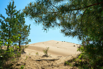 Tukulan sand dune in Yakutia, Russia