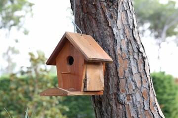 Beautiful wooden birdhouse hanging on tree trunk in park