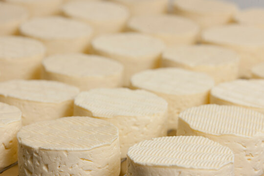 Close up of Cheeses maturing
