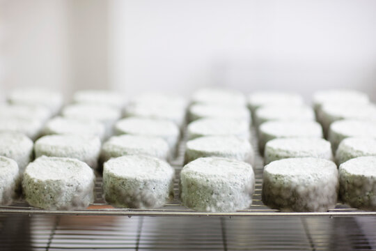 Close up of Cheeses maturing
