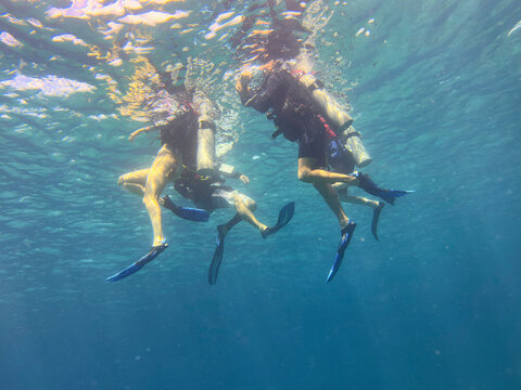 Family scuba diving underwater in sea, Kingstown, Saint Vincent and the Grenadines
