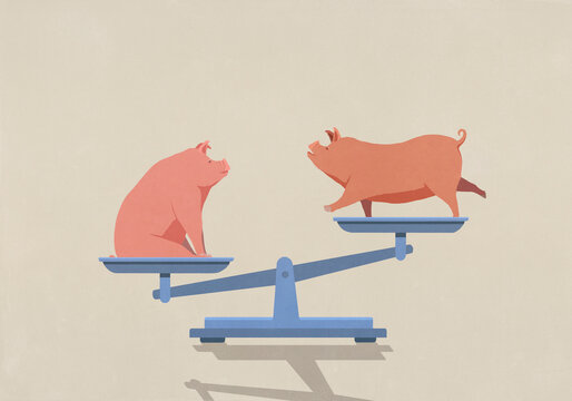 Pigs balancing on opposite ends of scale
