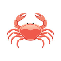 Cute Cartoon Crab Vector Illustration