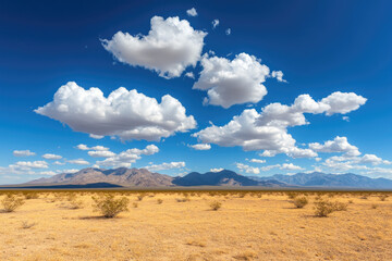 Fototapeta premium Desert landscape under a bright blue sky with fluffy clouds, serene and dry environment.