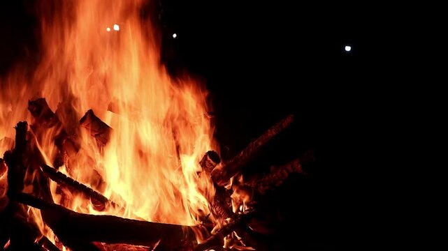 View loop of burning firewoods, bright firecamp with sparks at night, Camp fire in the night. Exploring the wildness travelling in outdoor