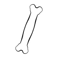 Hand drawn doodle bone isolated on white background. Vector illustration.