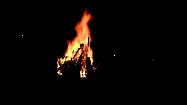 View loop of burning firewoods, bright firecamp with sparks at night, Camp fire in the night. Exploring the wildness travelling in outdoor