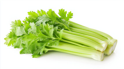 fresh celery vegetables isolated on white background