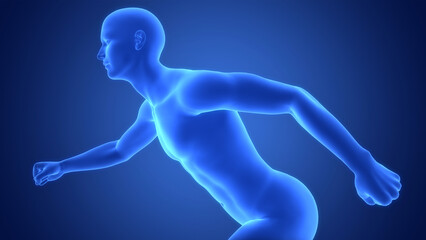 Human Muscle Body Running Pose Anatomy
