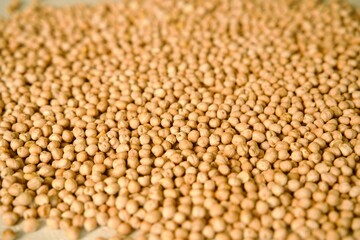 Close-up of chickpeas scattered across a surface, highlighting the texture and detail of the raw legumes.