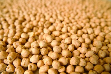 Close-up of chickpeas scattered across a surface, highlighting the texture and detail of the raw legumes.