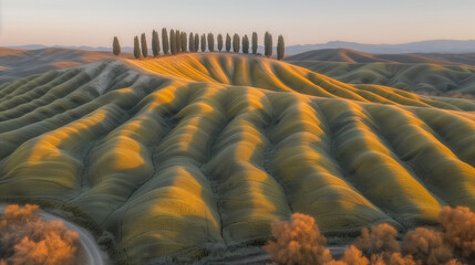 Fototapeta premium Golden Light on Rolling Hills and Cypress Trees in a Serene Landscape..