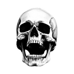 Vector halftone skull for collage.