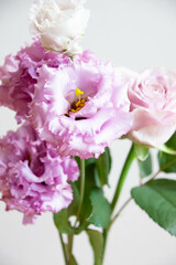 薔薇とトルコ桔梗