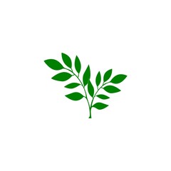 Ecology green leaf logo organic environment, tree leaf logotype isolated on white background .