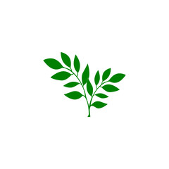 Fototapeta premium Ecology green leaf logo organic environment, tree leaf logotype isolated on white background .