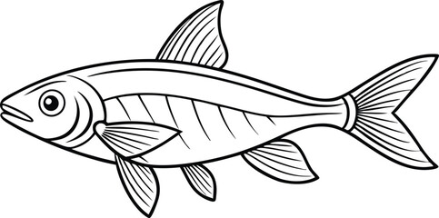 Neon Tetra fish line art vector illustration on black and white.