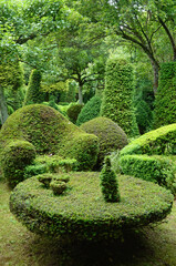 chaise et table en if taill&eacute;, Les jardins de S&eacute;ricourt, Jardin remarquable, S&eacute;ricourt, R&eacute;gion Nord Pas de Calais, 6, Pas de Calais, France