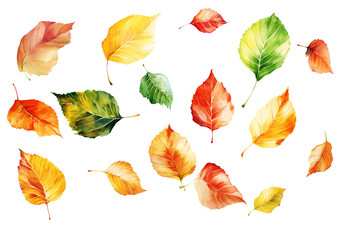 Watercolor illustration of Autumn birch leaves, isolated.