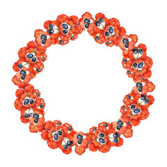 Watercolor wreath of Brazilian guarana. Organic superfood Paullinia cupana. Round frame with plant branch, fruits and seeds. Template with space for text, energy drink label. Botanical illustration.