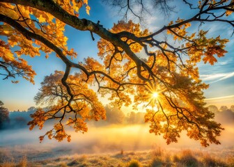 Fototapeta premium Ethereal dawn mist surrounds golden leaves shimmering on twisted oak branches against a soft blue sky with warm sunlight filtering through the atmosphere