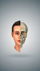 Female Half skull and face anatomy