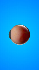 Human internal organ of eye