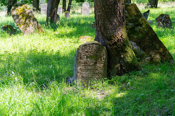 Kirkut w Ustrzykach Dolnych 