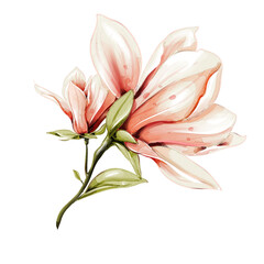 Fototapeta premium Delicate flower art in light pastel tones