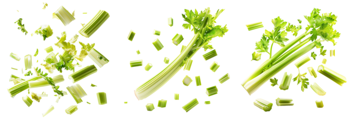 Floating celery stalk and pieces in air on isolated transparent background