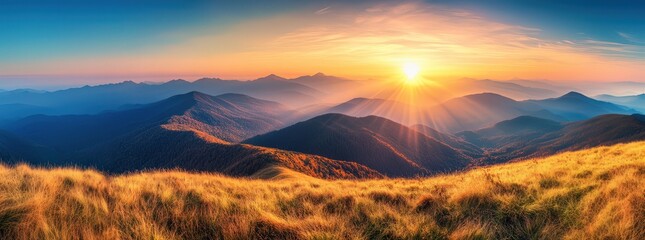 Serene Forest Panorama with Sunlight - Nature Panorama Background