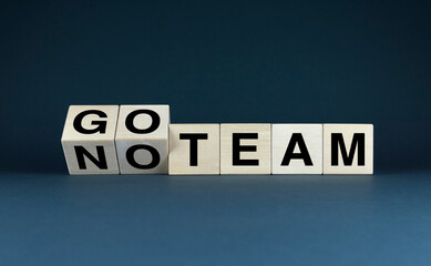 Obraz premium Wooden blocks spelling out GO TEAM and NOT TEAM