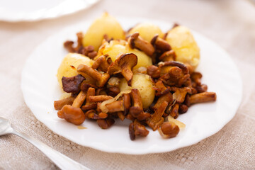 Delicious fried chanterelles with new potatoes on a white plate