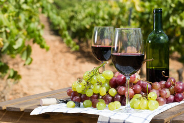 Still life with glass of red wine and grapes