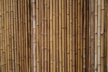 Bamboo trunks are dried and then arranged together to form a backdrop for the background.
