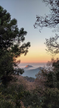 Panoramic view through tree branches on top of a mountain above the clouds at sunset. Seraidi. Annaba. Algeria