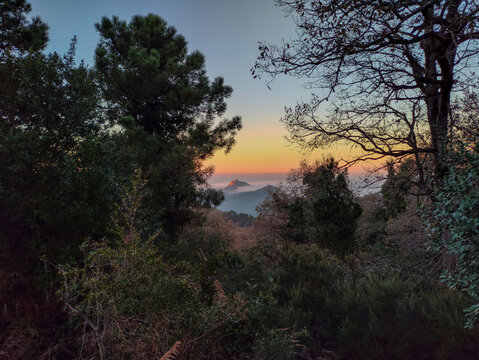Panoramic view through tree branches on top of a mountain above the clouds at sunset. Seraidi. Annaba. Algeria