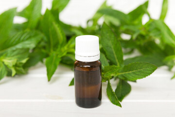 Natural Mint Essential Oil in a Glass Bottle. organic cosmetics with herbal extracts of mint on colored background