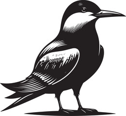 Fototapeta premium black Aleutian birds silhouette vector illustration, solid white background