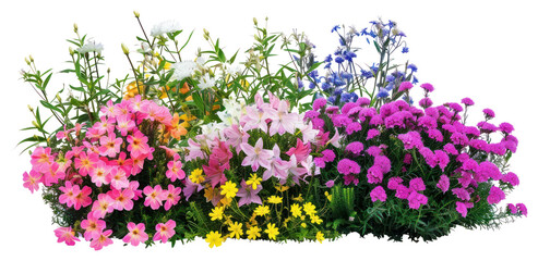 PNG Colorful blooming flowers garden