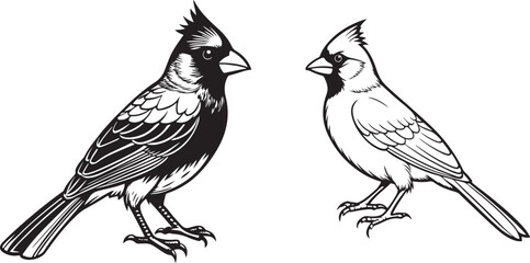 Color and silhouette tropical bird image vector illustration