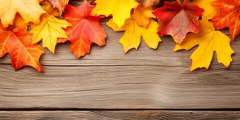 Colorful autumn leaves on a wooden background