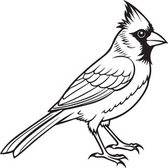 Color and silhouette tropical bird image vector illustration