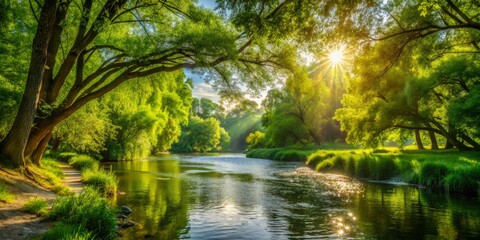 Fototapeta premium Riverbank verdant foliage sways gently in breeze as warm sunlight filters through.